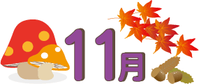 11