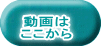 動画は ここから