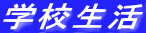 wZ