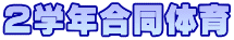 ２学年合同体育